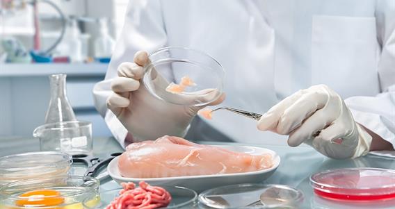 Scientist examining food samples